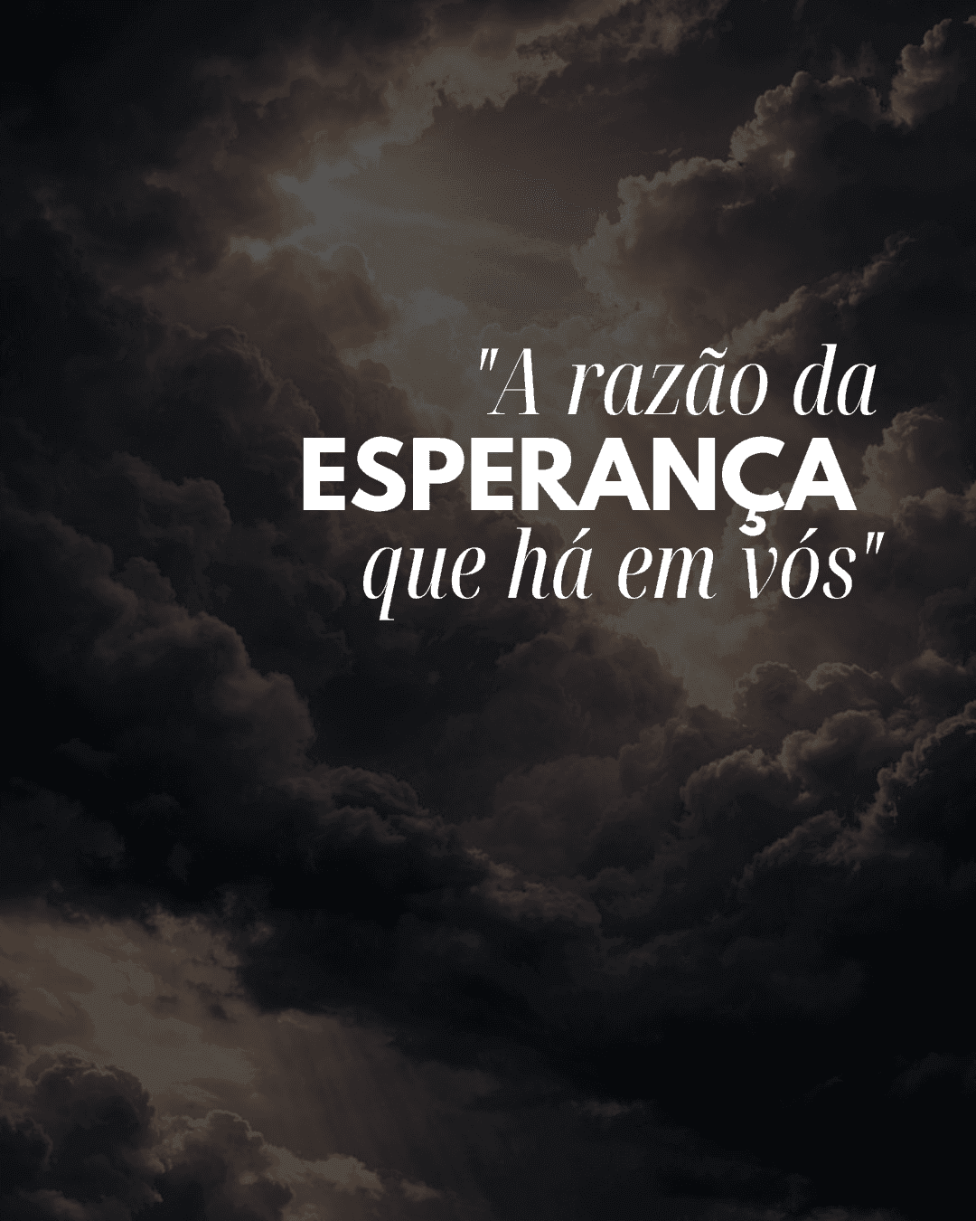 Estudo nº 01